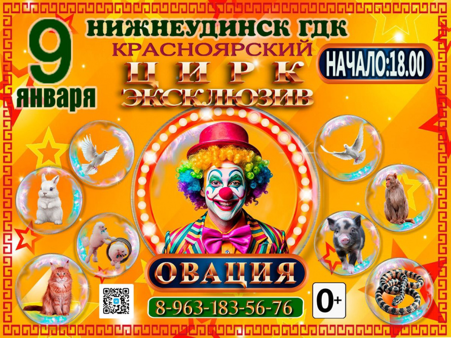 9 января 18.00 ГДК ЦИРК "ЭКСКЛЮЗИВ"